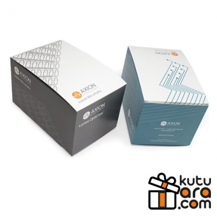 Karton Kutu model-10-6